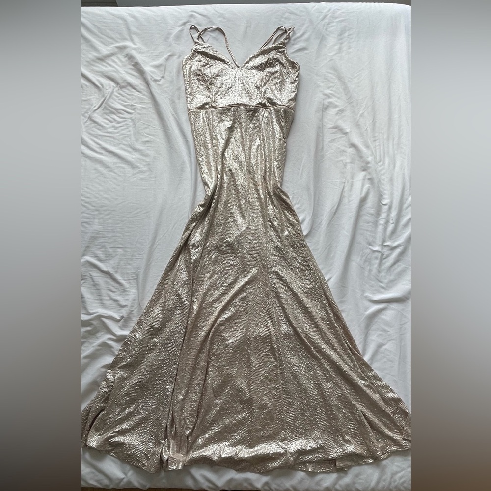 Windsor Metallic Champagne Gold Gown Size:M